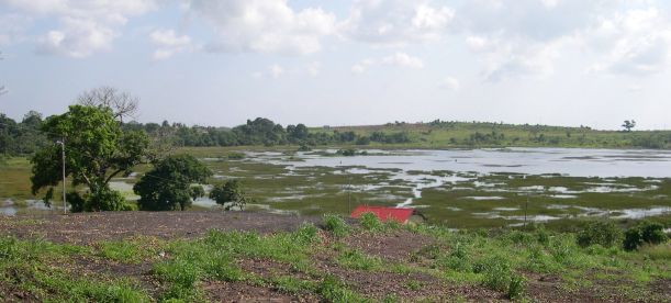 Teersee